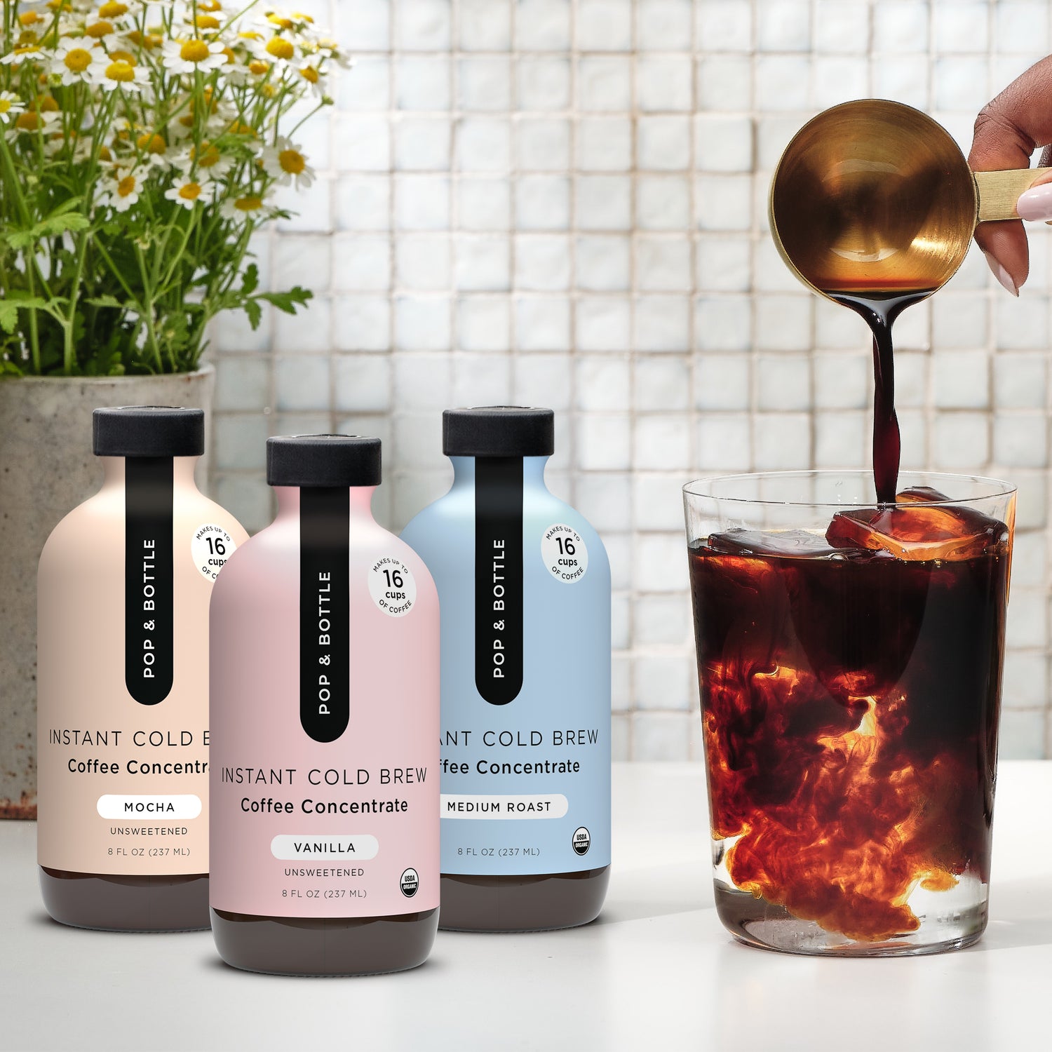 Sampler Pack | Instant Cold Brew Concentrate